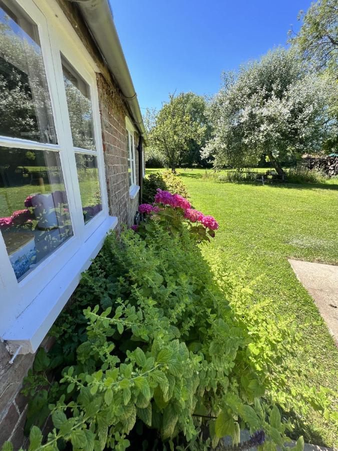 Adorable Two Bed Norfolk Broads Holiday Home - River Views With Moorings & Fishing スタラム エクステリア 写真