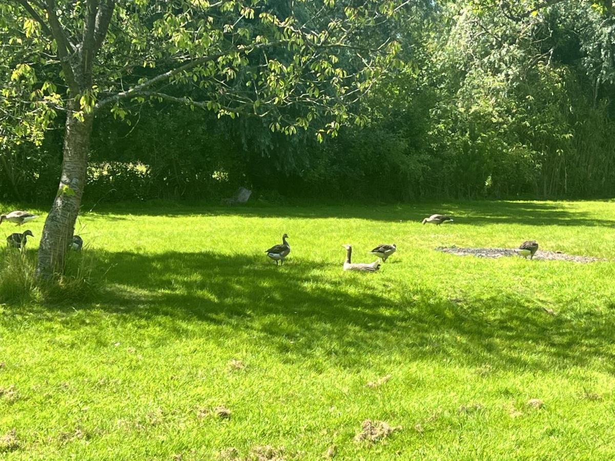 Adorable Two Bed Norfolk Broads Holiday Home - River Views With Moorings & Fishing スタラム エクステリア 写真